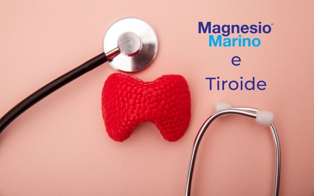 Magnesio e tiroide: esiste una correlazione?