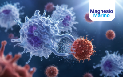 Magnesio Citrato, Bisglicinato o Cloruro di Magnesio? La Verità Biochimica che Cambia Tutto